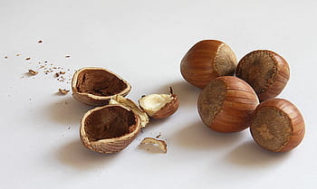 nueces, avellanas, cáscara, nuclear, alimentos, comer, cáscaras de nuez