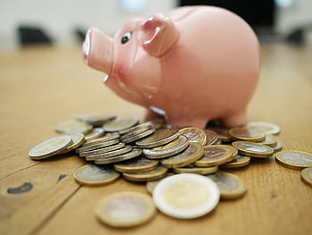 piggy bank, money, finance, save, bank, cash, economy, financial, wealth, piglet, investments