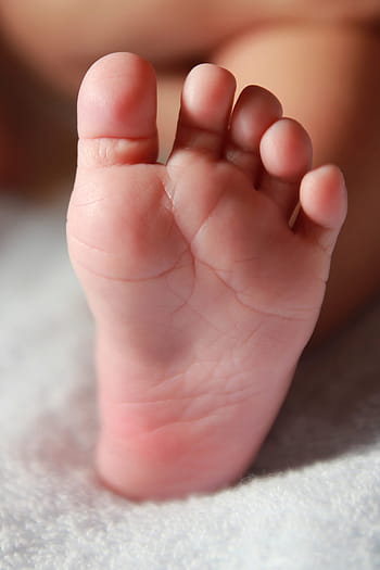 left person's foot, Newborn, Infant, Leg, baby foot, newborn, infant, baby, child, small, childhood, body