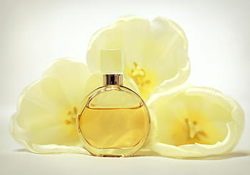 perfume spray bottle, white, flowers, round, glass, perfume bottle, perfume, odor, bottle, aroma, yellow