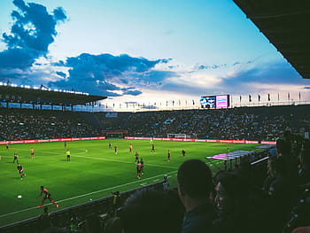 lidé, sledování, fotbal, bílý, mraky, modrý, nebe, během dne, lidé sledují, hra, bílé mraky