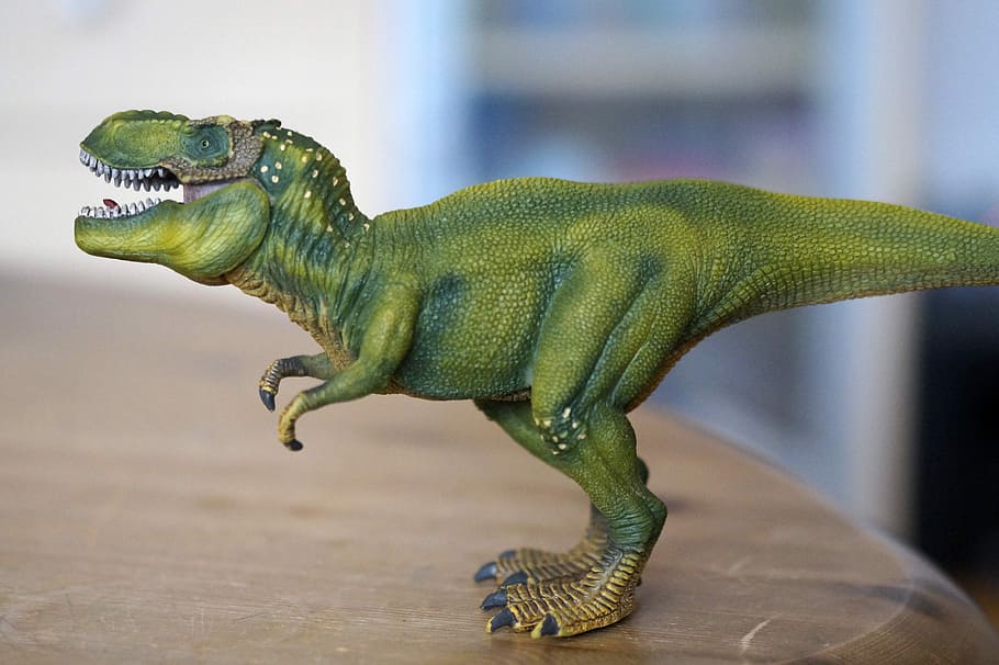 toy dinosaur model, Toy, Dinosaur, Model, animal, prehistoric, public domain, reptile, lizard, extinct, nature