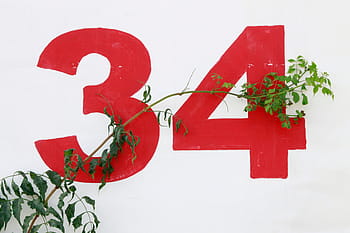 grüne Weinpflanzen, Grün, Pflanzen, drucken, Illustration, Weiß, Wand, zahlen, Ast, Blätter, Pflanze