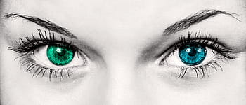 eyes selective photo, eyes, woman, fashion, beautiful, iris, pupils, look, view, beauty, human Eye