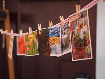 selective, focus photography, hanged, photos, postcards, greeting card, cards, wishes, vouchers, celebration, wedding