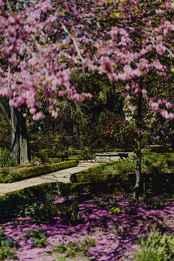 botanické, zahrada, Skutečný Jardin, jaro, Příroda, botanický, Evropa, evropský, výlet, cestovat, nemovitý