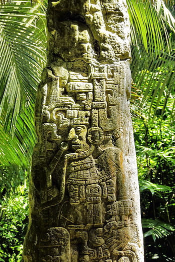 guatemala, ceiba, sayaxche, stone, maya, rainforest, ruins, archaeology