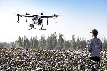 dji, dji zemědělství, agras, zemědělství, trubec, uav, mg-lp, zemědělské půdy, drone na ochranu rostlin, ochrany rostlin, extrémně létat