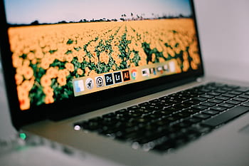 laptop, apple, keyboard, technology, mac, application, software, hardware, adobe, lightroom, illustrator