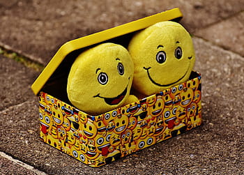 dua, kuning, emoticon, mewah, mainan, di dalam, kotak, abu-abu, trotoar bata, smilies, lucu