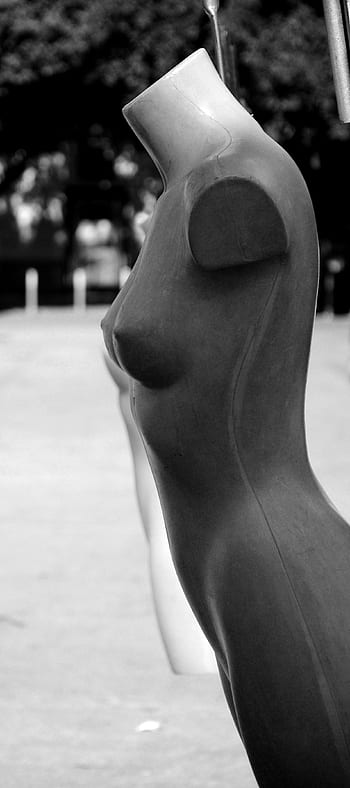 bust, dummy, dress, movement, snowman, clothing, showcase, fashion, shop, female dress, tee shirt