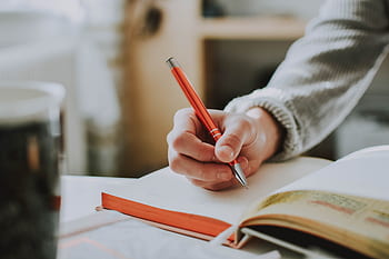 write, notebook, author, sunday, coffee