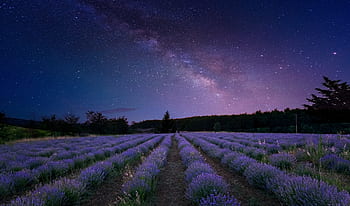 mléčná dráha, nebe, hvězd, kosmos, noc, prostor, astronomie, temný, vesmír, galaxie