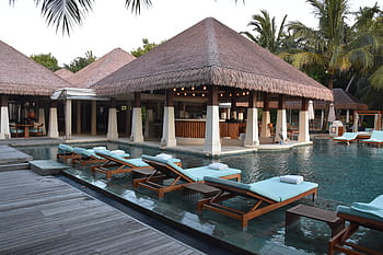 Maldive, ricorrere, spiaggia, bar della piscina, estate, vacanza, viaggio