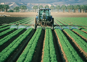 persona, equitazione, trattore agricolo, giorno, contadino, trattore, agricoltura, azienda agricola, campo, macchina, attrezzatura