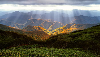 landscape photography, mountain summit, autumn, mountains, luster, autumnal leaves, october, shirakami-sanchi, beech forest, world natural heritage, japan