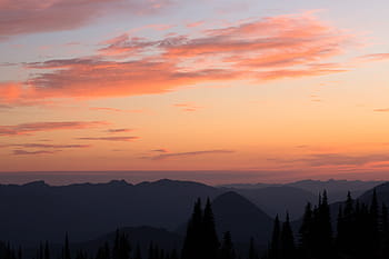 silhuet, træer, bjerg, solnedgang, fotografi, himmel, gul, Sky, natur, landskab, orange farve