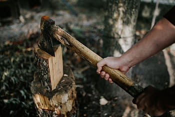 kayu, lentera, pohon, kayu bakar, lampu minyak, lampu parafin, Pemotongan, hutan