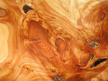 brown wooden surface, wood, grain, structure, annual rings, texture