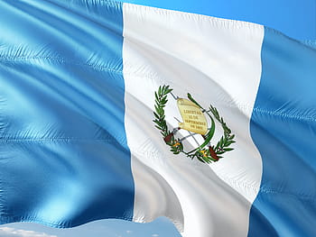 bílý, modrý, vertikální, proužek vavřínově tištěná vlajka, mezinárodní, vlajka, Guatemala, Střední Amerika