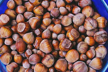 Nocciole, cibo, noccioline, spuntini salutari, ingredienti naturali, gusci di nocciole, fotografia ravvicinata, noci marroni, nocciole crude, Texture noci, ciotola di nocciole