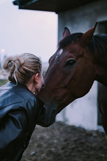 caballo, recinto, marrón, pluma, granja, castaño, animal, al aire libre, equitación, caballo de carreras, lugar deportivo