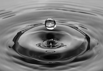 water droplets, water drop, dropping, splashing, splash, wet, rain, drop, liquid, water, wave