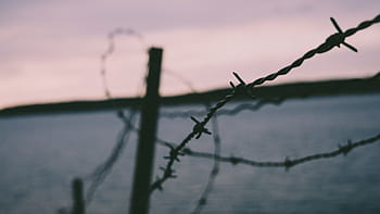 selektivní, zaostřovací fotografie, barb wire, ozub, dráty, bezpečnostní, ostrý, plot, dráty pro ostny, vlastnictví, ostnatý drát