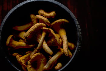 hnědý, houby, miska, jídlo, přísad, kontejner, vaření, zeleniny, svěžest, jedlá houba, vegetariánské jídlo
