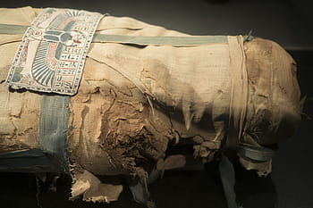 egypt, mummy, egyptian, ancient