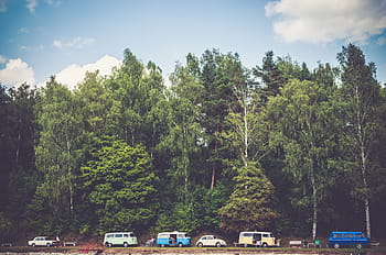 vozidel, silnice, vedle, zelená, treeline, během dne, zaparkováno, vozy, dodávky, kempování, venku