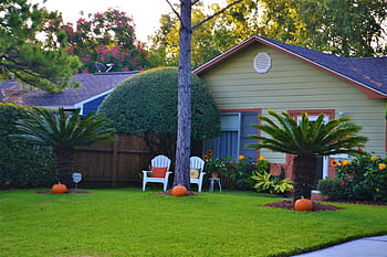 gray, brown, house, green, grass garden, family house, pumpkins, halloween, single family home, houston, texas