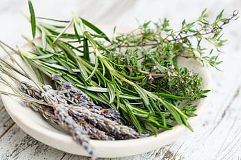 green, brown, leaf plants, Herbs, French, Bouquet, Gourmet, Cuisine, rosemary, lavender, thyme