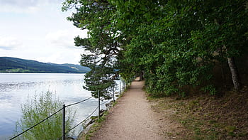 schluchsee, water, black forest, southern germany