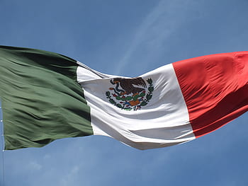 méxico, bandeira, bandeira mexicana, brasão de armas