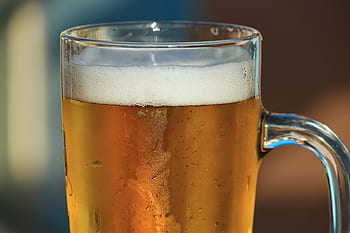 bier, bierpot, bierglas, gerstensap, drinken, pils, exporteren, helder, prost, symbool, vers