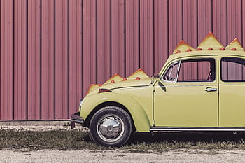 žlutá, volkswagen brouk park, tráva, během dne, volkswagen brouk, park, objekty, náladový, líný, umění, zelená