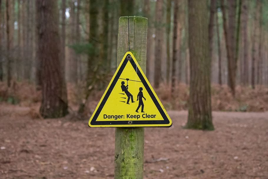 road, wood, warning, danger, nature, guidance, safety, caution, sign, alert, yellow