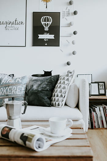 pedalaman, sofa, majalah, modern, meja, kucing, bantal, dekorasi rumah, rak buku, bergaya, Kontemporer