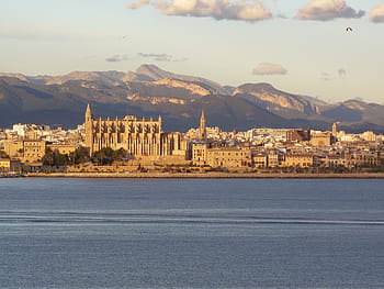 view of city, mallorca, palma de mallorca, palma, cathedral, city, church, spain, architecture, coast, sea