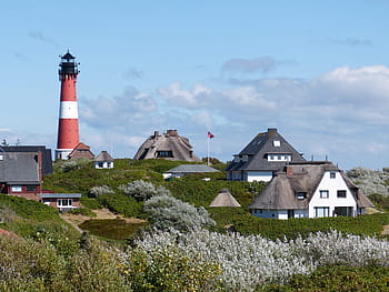 ホルヌム、 シルト、 島、 灯台、 休暇、 北海、 カントリーハウス、 Nordfriesland、 茅葺き屋根、 葦、 砂丘