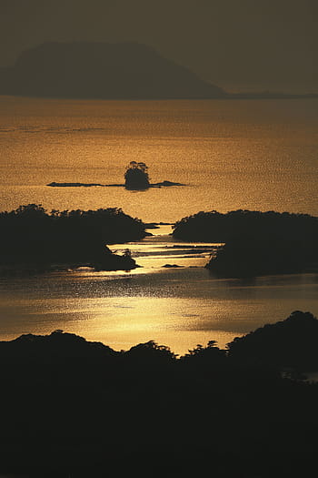 silhouette, boat, body, water, golden, hour, nature, travel, adventure, sunset, ocean