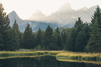 krajina záběr, jezero, les, hory, krajina, výstřel, jezero, les, usa, Příroda, přírodní, scén