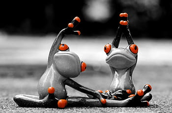 frogs, gymnastics, funny, fun, figure, cute, sweet, sport, sporty, move, movement