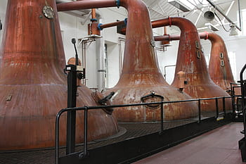 fotografie, lihovar, destilovat, hořet, whisky, jednosladová, lihovin, Skotsko, kirkwall, orkney ostrovy
