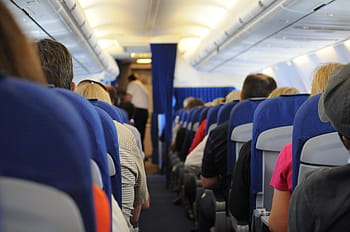 people, sitting, plane seats, airplane, on board, seats, travel, transportation, aisle