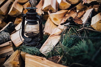 kayu, lentera, pohon, kayu bakar, lampu minyak, lampu parafin, Pemotongan, hutan
