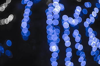 lights, lantern, christmas tree, christmas, new year's eve, winter, the blurred, background, blur, bright, asin bollywood actress