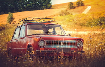 fotografie, Červené, tofas ​​murat 124, pole, během dne, auto, vozidlo, automobilového průmyslu, cestovat, rozmazat, tráva