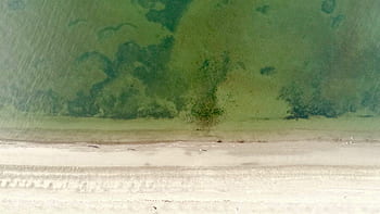 antenne, strand, kystlinjen, sand, ocean, hav, vand, kyst, drone, bølger, naturlig